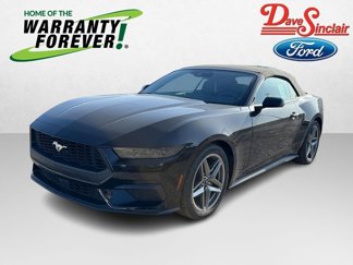 New 2025 Ford Mustang Premium image 1