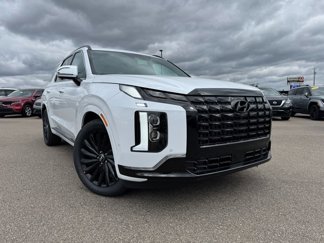 New 2025 Hyundai Palisade Calligraphy image 1