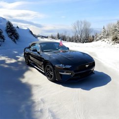 Used 2020 Ford Mustang Premium image 1