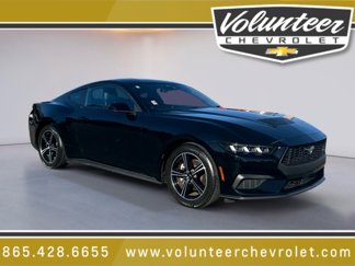 Used 2024 Ford Mustang Coupe image 1