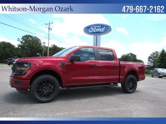New 2025 Ford F150 STX image 1