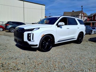 New 2025 Hyundai Palisade Calligraphy image 1