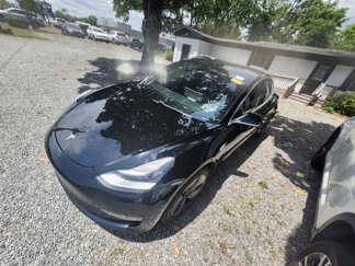 Used 2019 Tesla Model 3 Standard Range Plus image 1