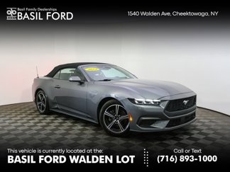 Used 2024 Ford Mustang Premium image 1