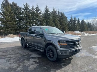 New 2025 Ford F150 XLT w/ Equipment Group 302A MID image 1