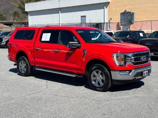 Certified 2023 Ford F150 XLT w/ Equipment Group 302A High image 1
