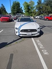 Used 2023 Ford Mustang Premium image 1