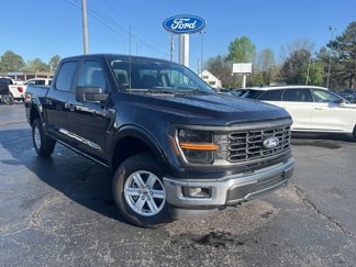 New 2025 Ford F150 XL w/ Equipment Group 103A High image 1