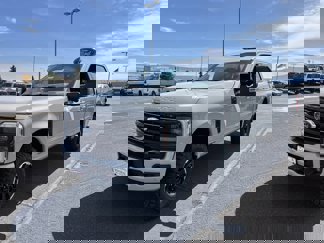 New 2025 Ford F250 Platinum w/ Tremor Off-Road Package image 1