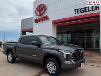 New 2025 Toyota Tundra SR5 image 1
