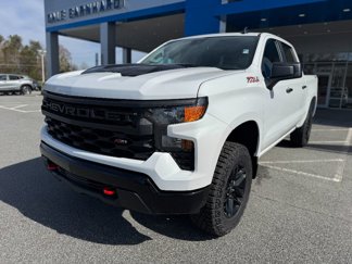 New 2025 Chevrolet Silverado 1500 Custom Trail Boss image 1