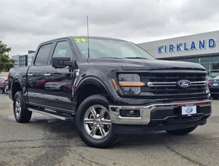 Used 2024 Ford F150 XLT image 1
