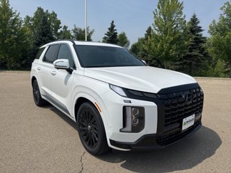 New 2025 Hyundai Palisade Calligraphy image 1