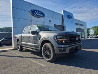 New 2025 Ford F150 XLT image 1