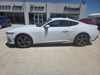 Used 2024 Ford Mustang Premium image 1