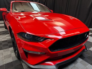 Used 2019 Ford Mustang GT Premium w/ Equipment Group 401A image 1