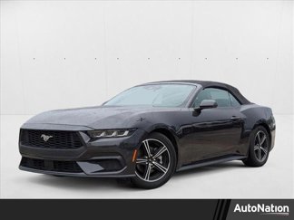 Used 2024 Ford Mustang Premium image 1