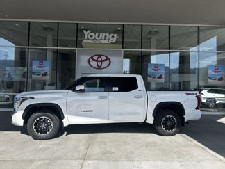 New 2025 Toyota Tundra SR5 image 1
