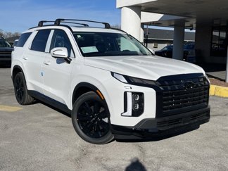 New 2025 Hyundai Palisade XRT image 1