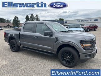New 2025 Ford F150 STX w/ STX Black Appearance Package image 1