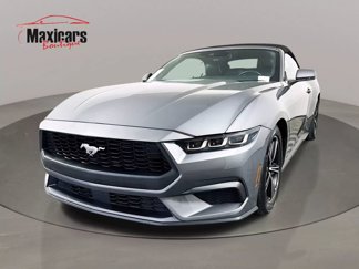 Used 2024 Ford Mustang Premium image 1