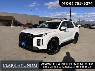New 2025 Hyundai Palisade XRT image 1