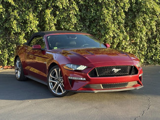 Used 2018 Ford Mustang GT Premium w/ Equipment Group 401A image 1