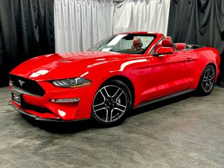 Used 2021 Ford Mustang Premium w/ Equipment Group 201A image 1