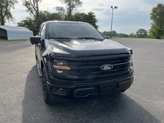 New 2025 Ford F150 XLT w/ Equipment Group 302A MID image 1