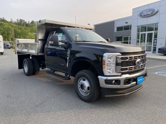 New 2025 Ford F350 XL w/ XL Chrome Package image 1
