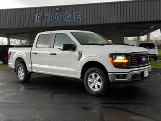 New 2025 Ford F150 XL w/ Equipment Group 103A High image 1