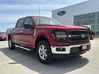 New 2025 Ford F150 XLT w/ Equipment Group 301A Standard image 1
