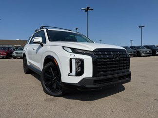 New 2025 Hyundai Palisade XRT image 1