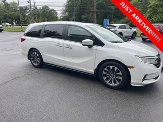 Certified 2023 Honda Odyssey EX-L image 1