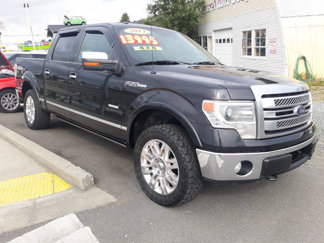 Used 2013 Ford F150 Platinum image 1
