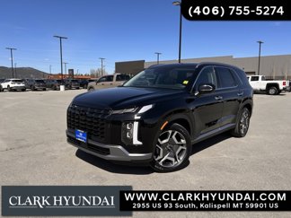 New 2025 Hyundai Palisade SEL image 1