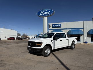 New 2025 Ford F150 XL image 1