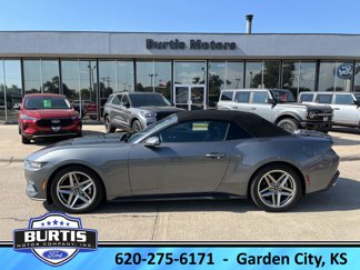 Used 2024 Ford Mustang Premium image 1