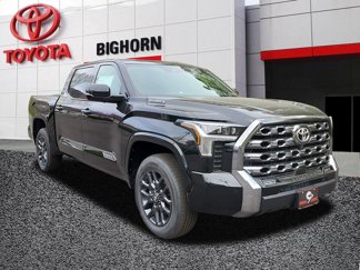 New 2025 Toyota Tundra Platinum image 1