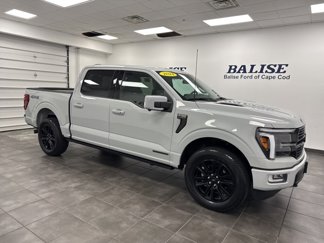 Used 2024 Ford F150 Platinum image 1