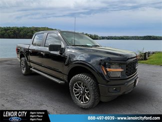 New 2025 Ford F150 STX w/ STX Black Appearance Package image 1