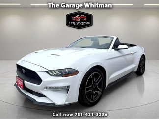 Used 2019 Ford Mustang Premium image 1