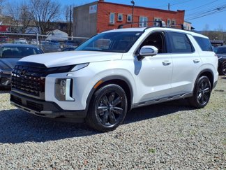 New 2025 Hyundai Palisade XRT image 1