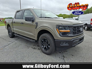 New 2025 Ford F150 STX image 1