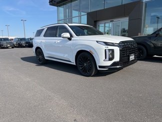 New 2025 Hyundai Palisade Calligraphy image 1