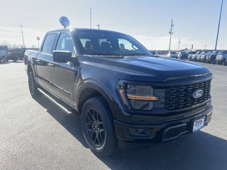 New 2025 Ford F150 STX image 1