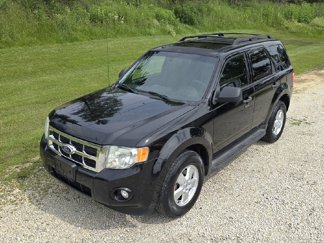 Used 2010 Ford Escape XLT image 1