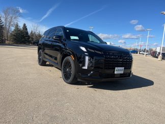 New 2025 Hyundai Palisade Calligraphy image 1