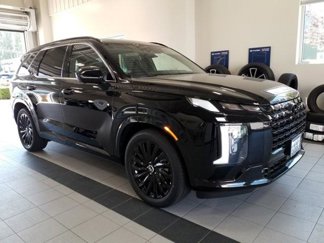 New 2025 Hyundai Palisade Calligraphy image 1