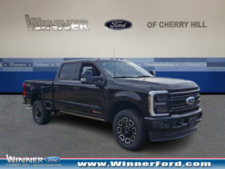 New 2025 Ford F250 Platinum image 1